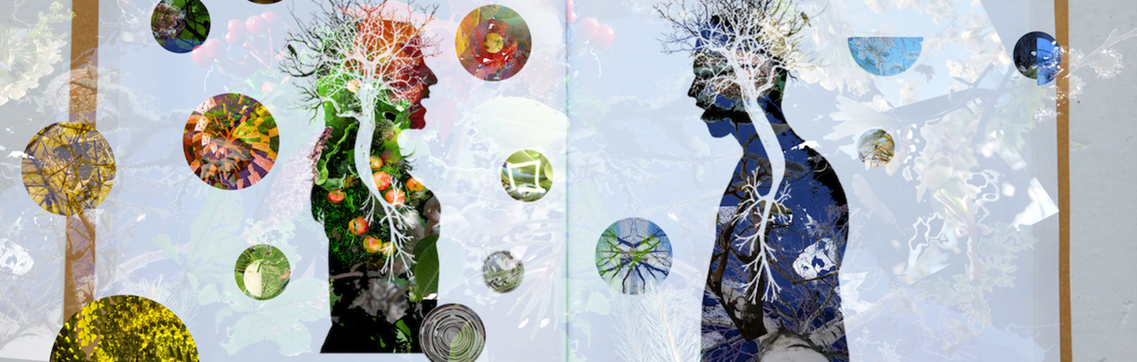 Art for Climbing Trees