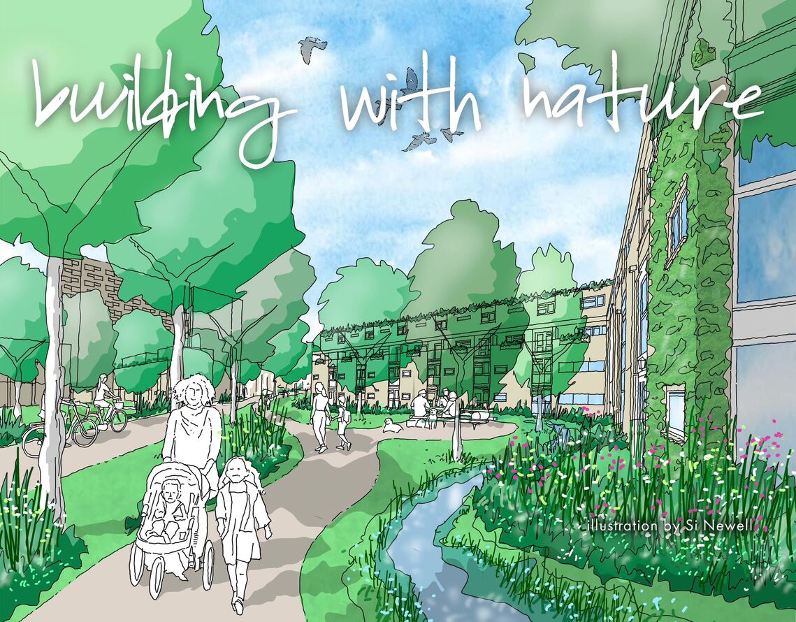 Building with Nature