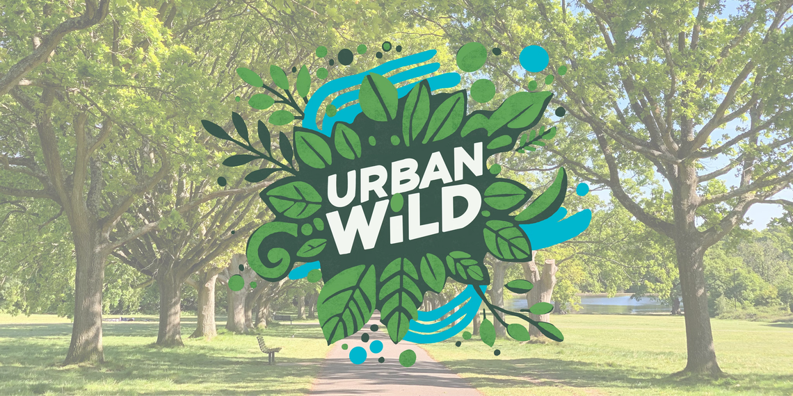 Festival 11am - 9pm